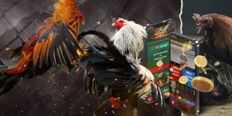 Bí Quyết Chơi Đá Gà GA28 Tại Hi88 Giúp Bắt Kèo Chuẩn Và Tăng Tỷ Lệ Thắng Cao 2 Bí Quyết Chơi Đá Gà GA28 Tại Hi88 Giúp Bắt Kèo Chuẩn Và Tăng Tỷ Lệ Thắng Cao