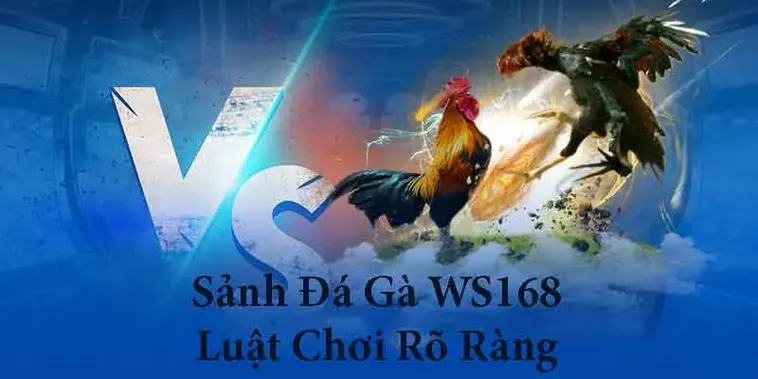 Chiến lược cao thủ chinh phục Đá Gà WS168 tại Hi88 dễ thắng lớn
