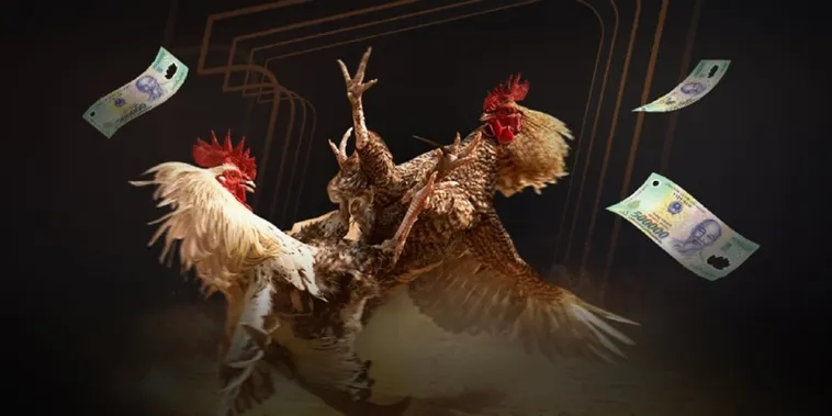 Kinh Nghiệm Chơi Đá Gà Hi88 Hiệu Quả Từ Cao Thủ Cá Cược Trực Tuyến