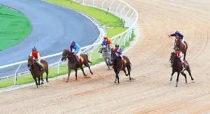 Bí Quyết Cá Cược Đua Ngựa Hi88 Cho Dân Cá Cược Lão Làng Năm 2026